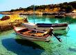 cres Séjour en Croatie dans le golfe du Kvarner : Krk, Cres et Losinj
