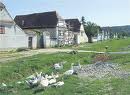 Viscri ; village saxon de Transylvanie, un petit bijou classé à l’unesco (Tourisme Roumanie)