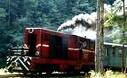 Tourisme Roumanie – Voyager en « Mocanita » : un train à vapeur pour remonter le temps en Maramures