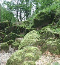 Cirque de Consolation : randonnée unique en Franche-Comté (Haut Doubs)