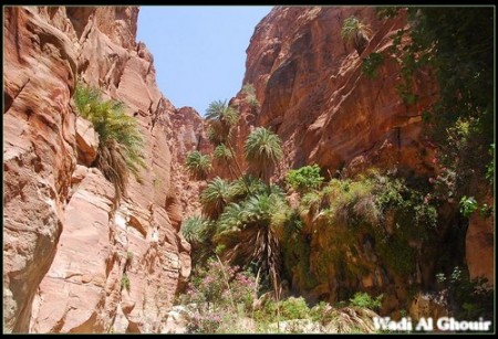 wadi al Ghouir Canyon 7 450x307 wadi al Ghouir Canyon (7)