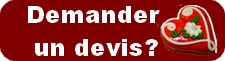 ideoz voyages demander un devis