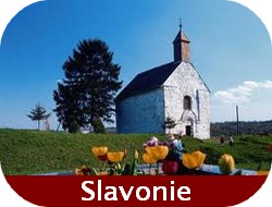  Itinéraire en Croatie : besoin daide pour la conception de votre voyage?