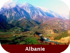 Forums Europe albanie Forums Europe