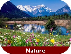 nature baviere nature baviere Bavière