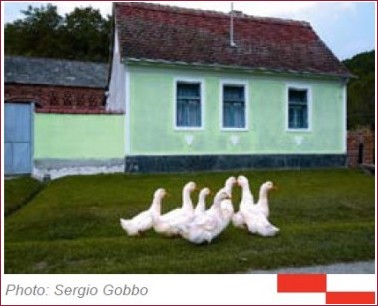 Bistriki agrotourisme croatie lonjsko polje Bistriki agrotourisme croatie lonjsko polje Agrotourisme Croatie : bonnes adresses chez lhabitant à la ferme