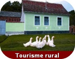 Croatie Tourisme rural Itinéraire en Croatie : besoin daide pour la conception de votre voyage?
