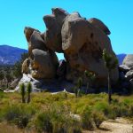 Mojave Desert reserve