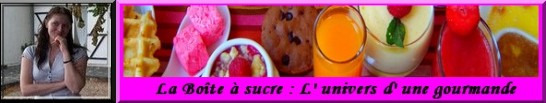 Cliquez pour consulter le blog "Sucre Gourmand" de Jessica