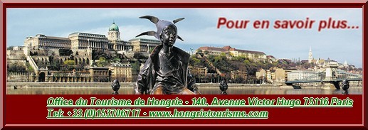 Cliquez sur la bannière pour consulter le site