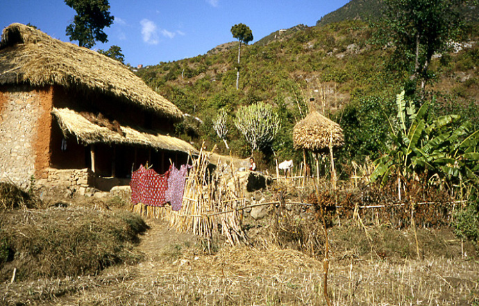 ferme valle de katmandou nepal