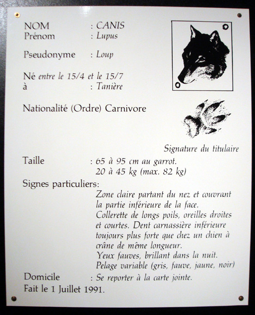 carte-identite-musee-du-loup.1280580496.jpg