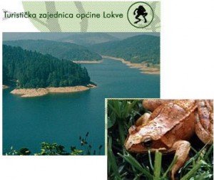 Lokve lac et grenouilles
