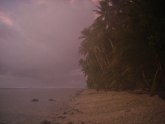 LOrd Howe Micronésie 272.jpg