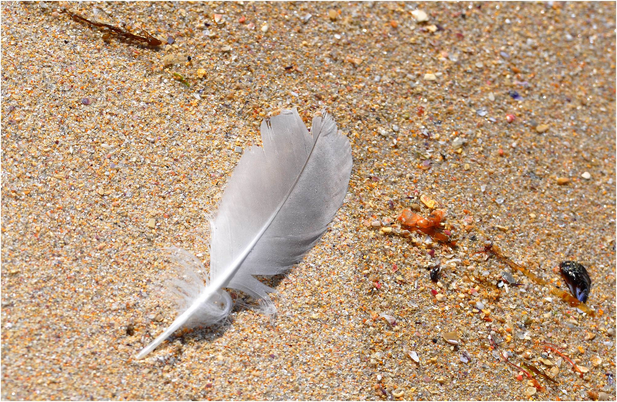 plage sable galice espagne
