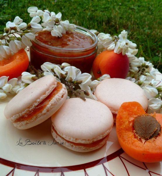 Macarons abricot acacia 2