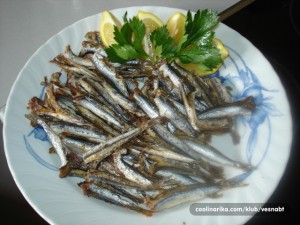 anchois cuits au four recette croate