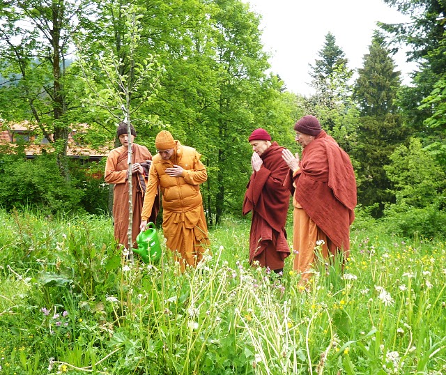 monastere bouddhiste Metta Vihara en Allgau