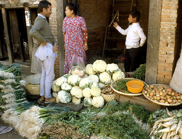 katmandou nepal legumes