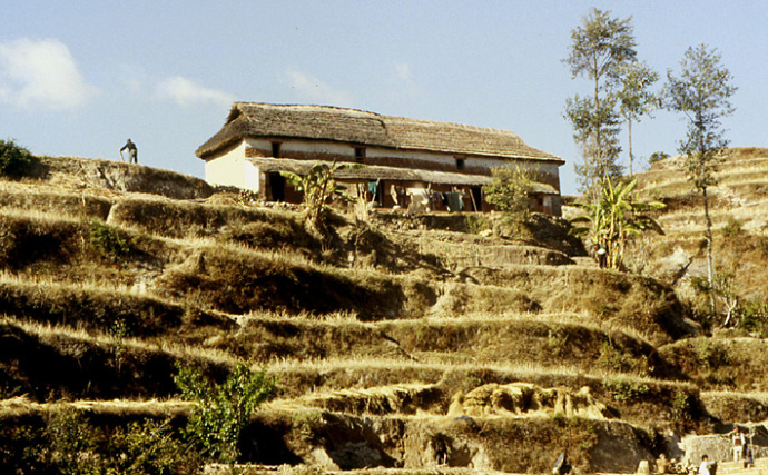 nepal ferme