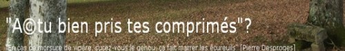 lechat