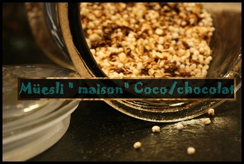 Muesli granola chocolat coco