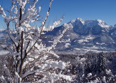 Alpes enneigées Bischofwiesen (Haute Bavière)