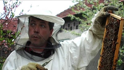 Serbie apiculteur