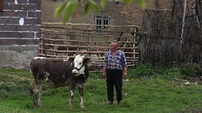 Serbie fermier et sa vache
