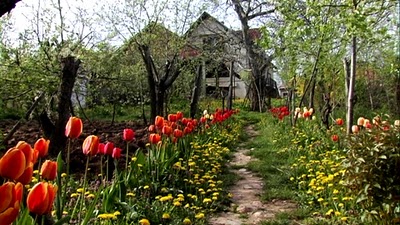 Serbie village jardin