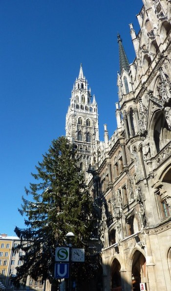 Munich cathedrale sapin