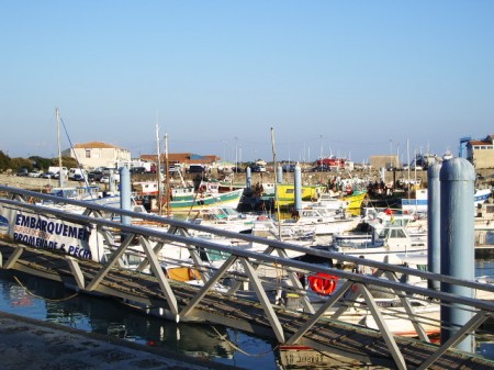 port de la Cotinière ile d'oléron