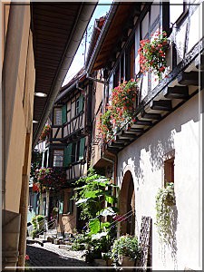 Eguisheim alsace