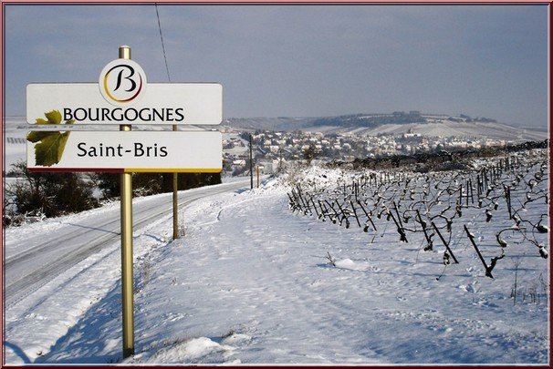 bourgogne saint bris