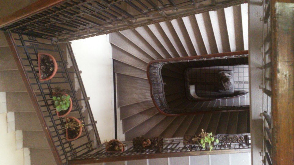budapest escaliers en perspective