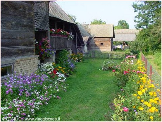 lonjsko polje jardin en fleurs