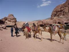 jordanie bedouins petra