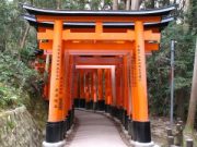 kyoto sanctuaire Fushimi Inari