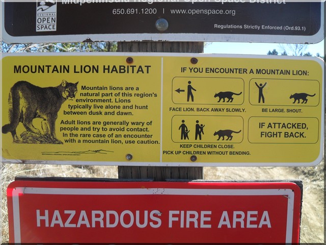 habitat protégé des lions