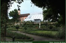 Blumeninsel Mainau Palmenhaus
