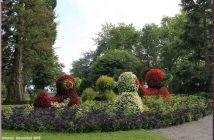 Bodensee blumeninsel fleurs