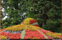 blumeninsel paon fleurs