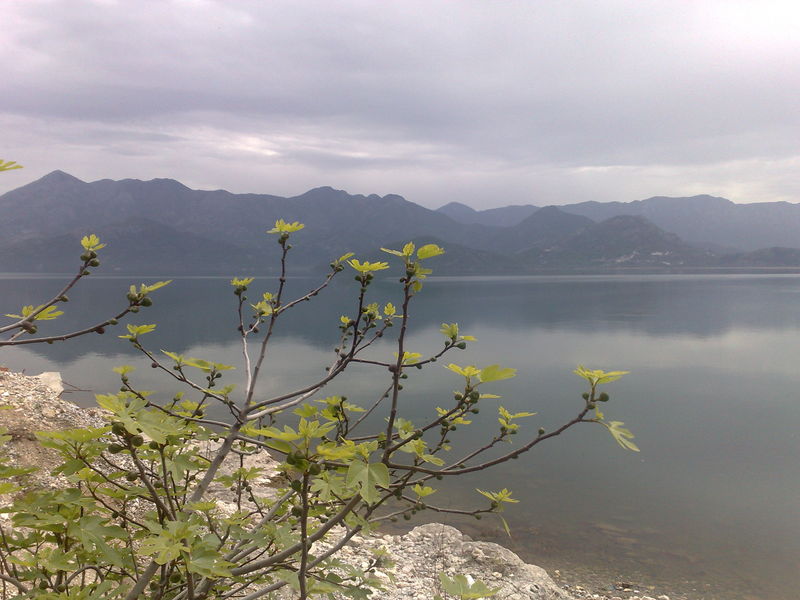 lac de skadar montenegro