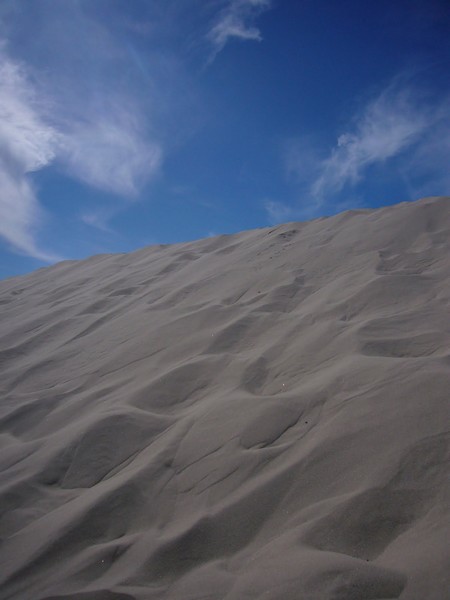 skagen dunes