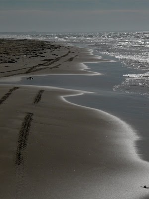 skagen plage de sable