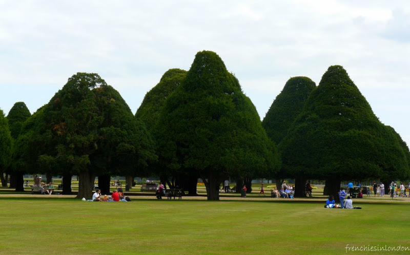 Hampton court palace Jardins
