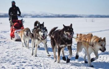 Mémoires glacées ; voyage dans le Grand Nord avec Nicolas Vanier aventure grand nord