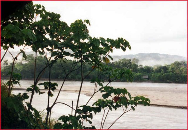 equateur rio napo (1)