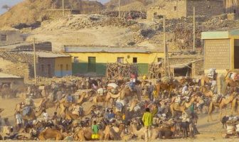 Voyage au bout de la terre en Ethiopie: Descente dans la dépression du Danakil Ethiopie marché au sel à Berhale