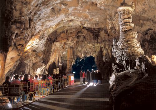 Grotte de Postojna petit train